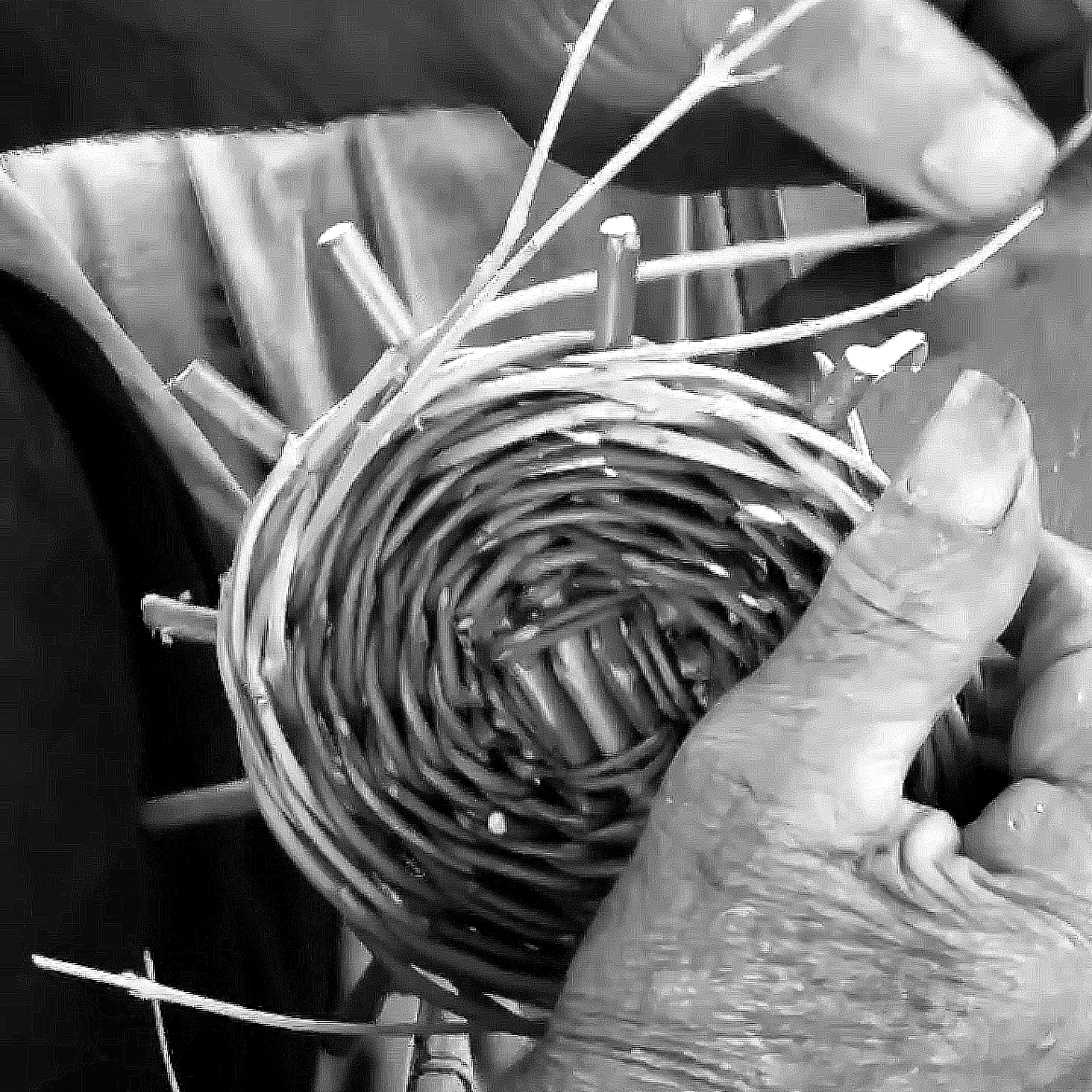 come intrecciasr eil salice e realizzare arredi design caspal